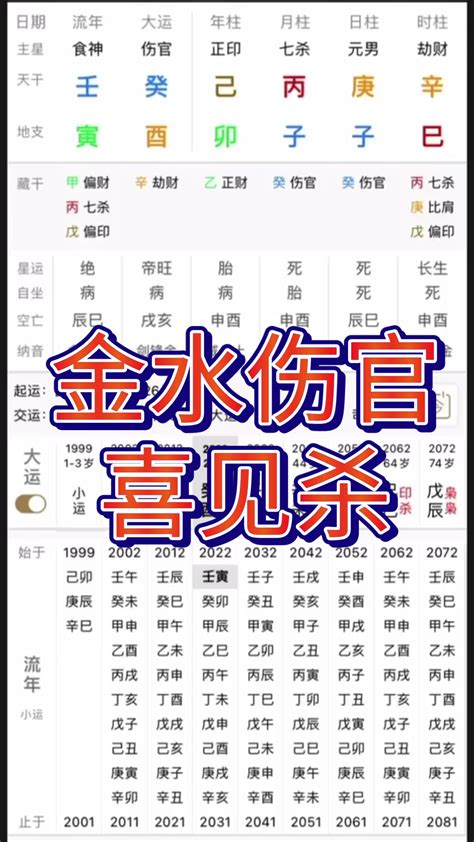 金水八字|八字喜金水：健康養生攻略